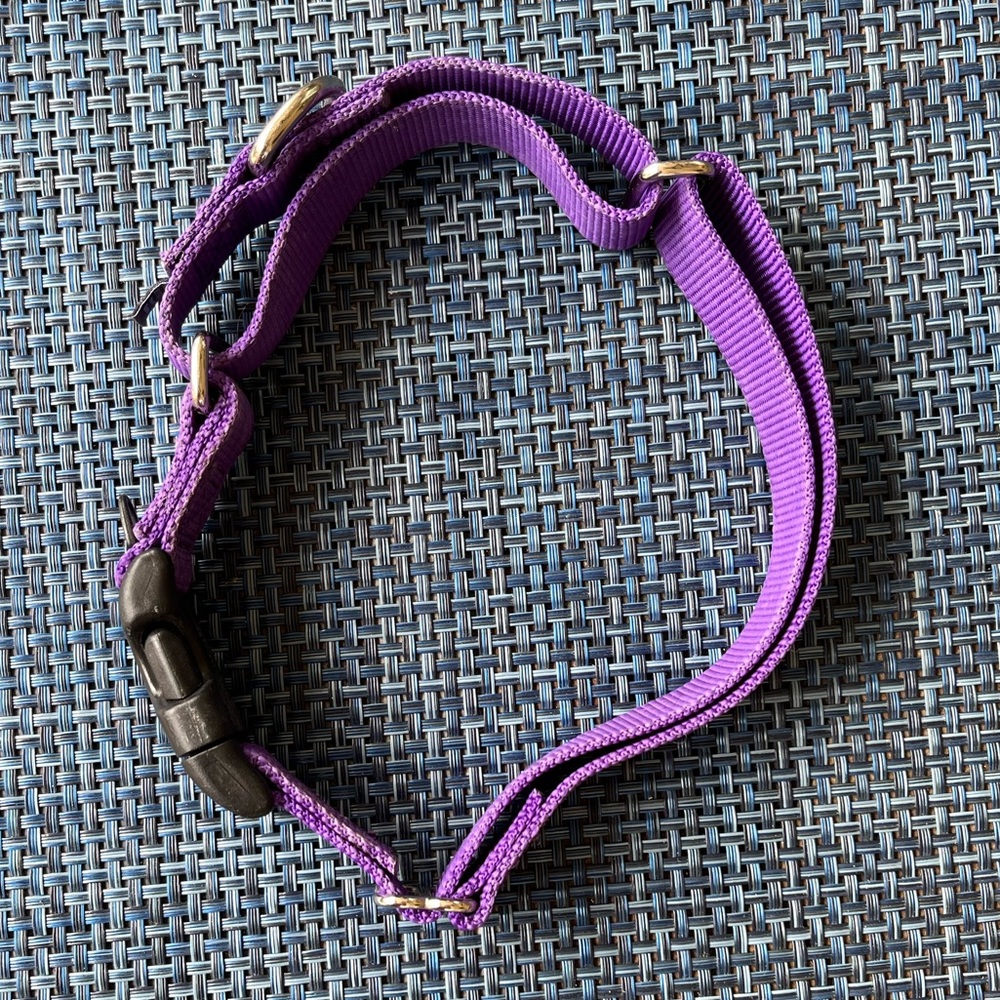 PetSafe Dog Collar _ Large